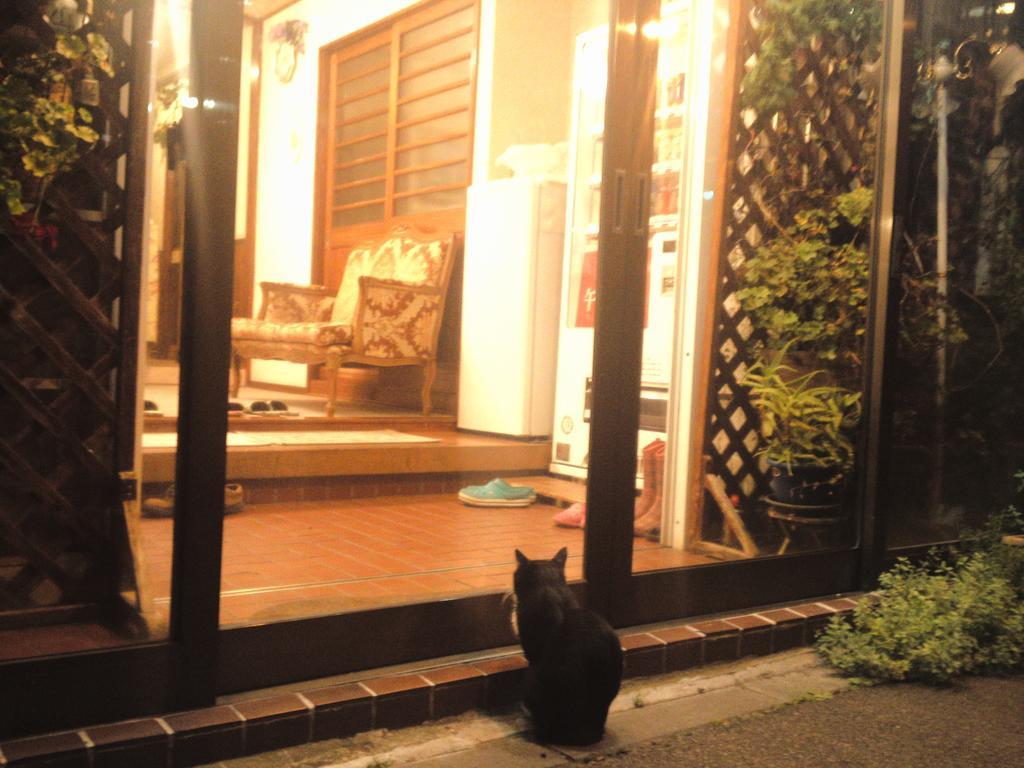 Puppy Tail Hakodate